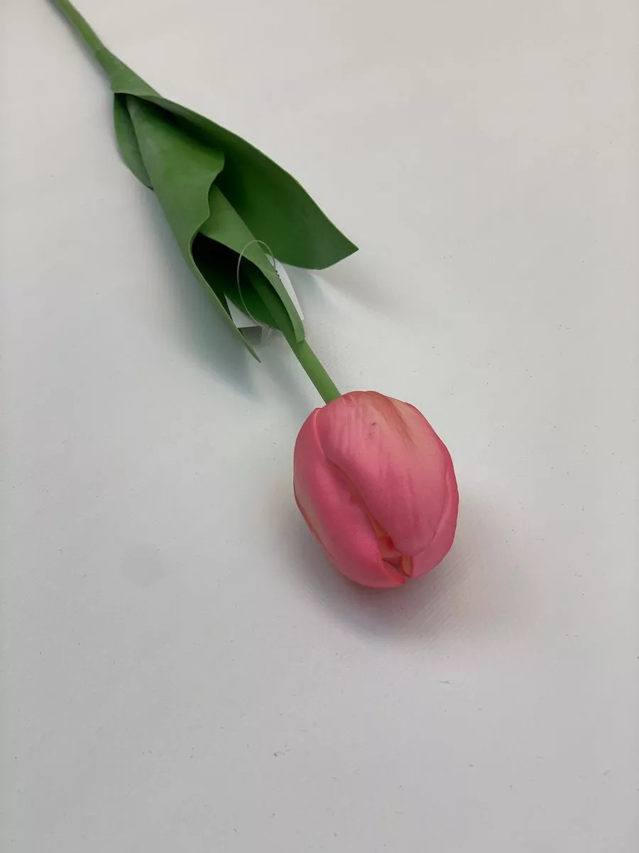 Тюльпан CG0054  Интернет-магазин Feron Flower 