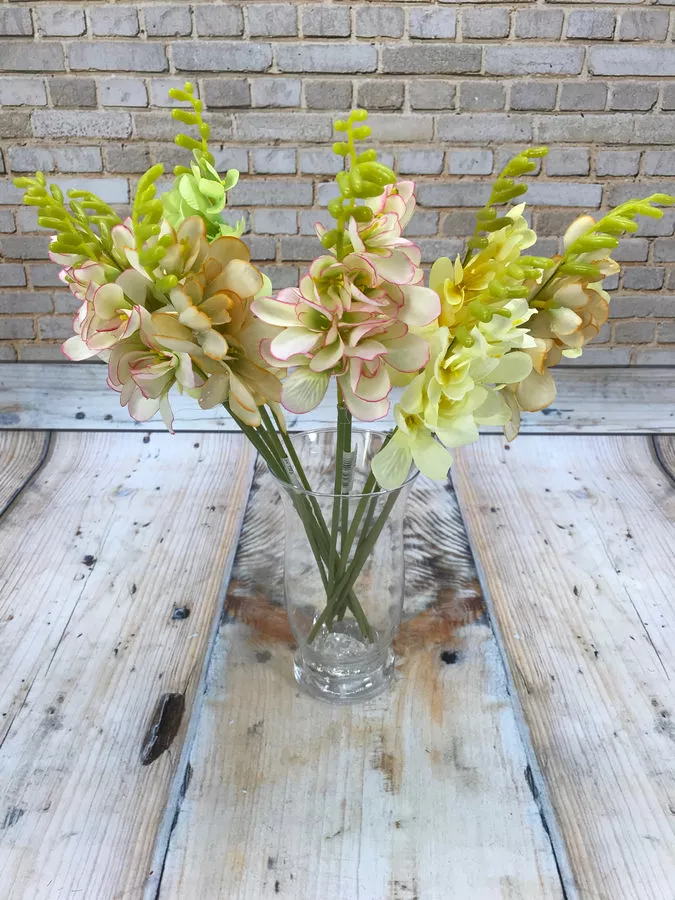 Фрезия JM014  Интернет-магазин Feron Flower 