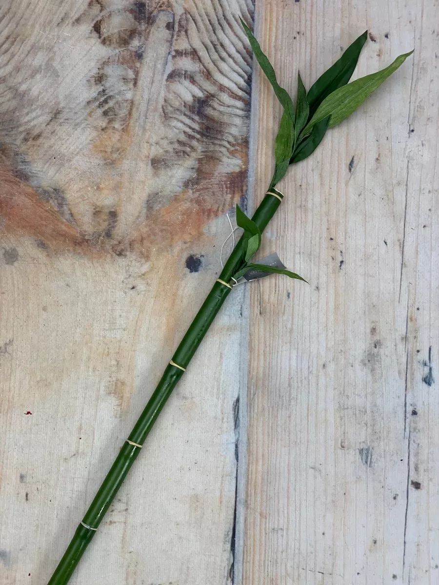 Бамбук 19259  Интернет-магазин Feron Flower 