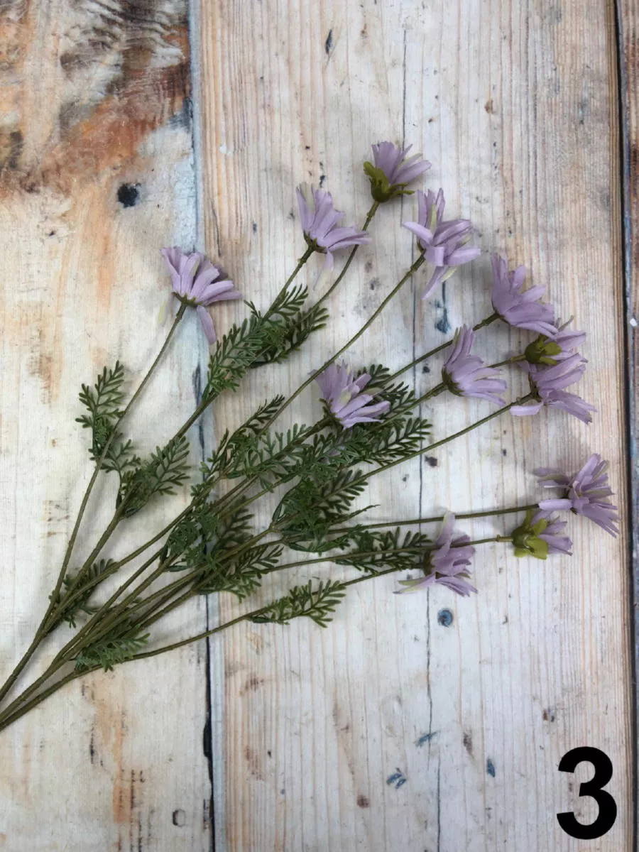 Хризантема 124CAN31024  Интернет-магазин Feron Flower 