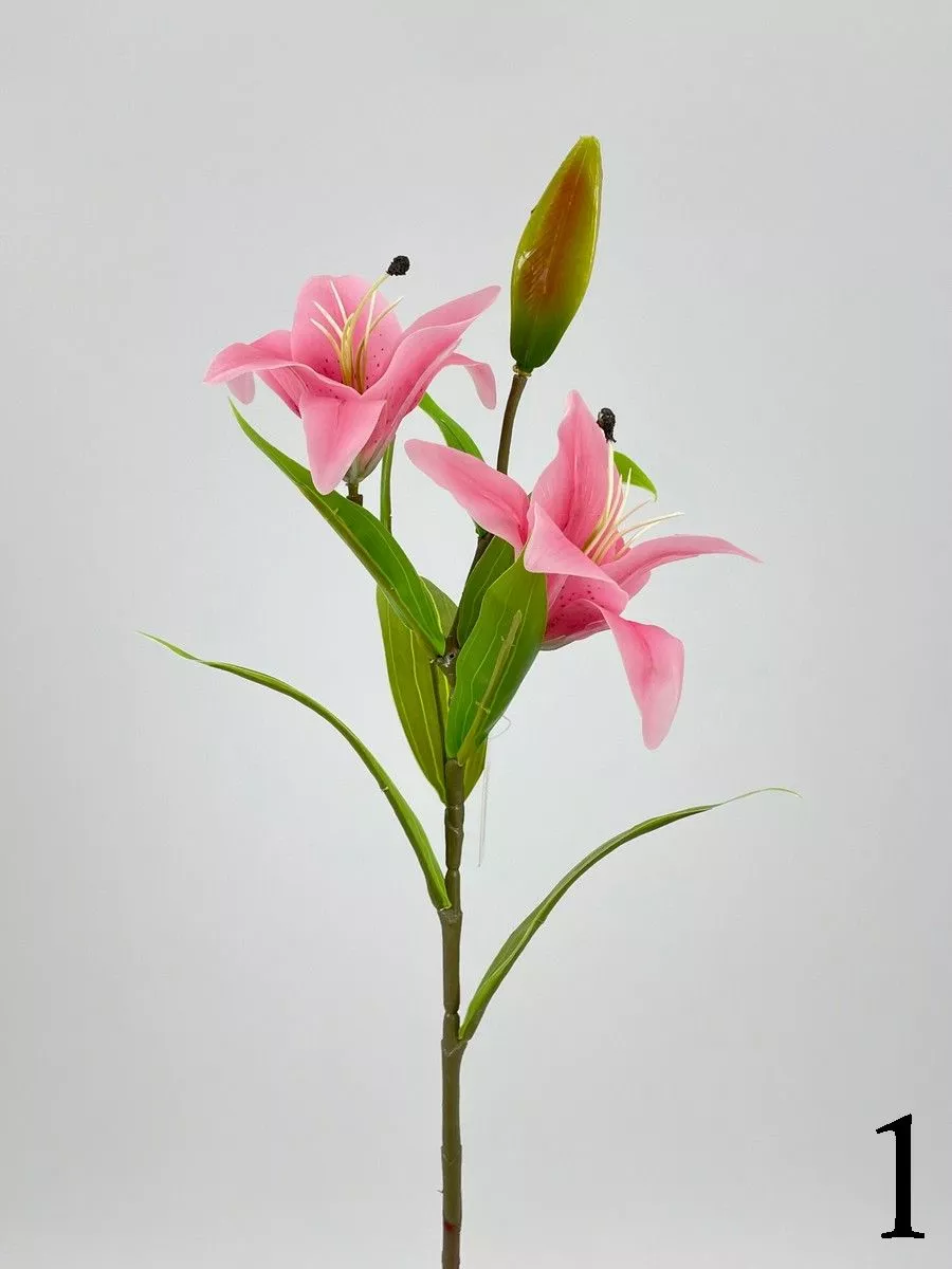 Лилия FL-QH006  Интернет-магазин Feron Flower 