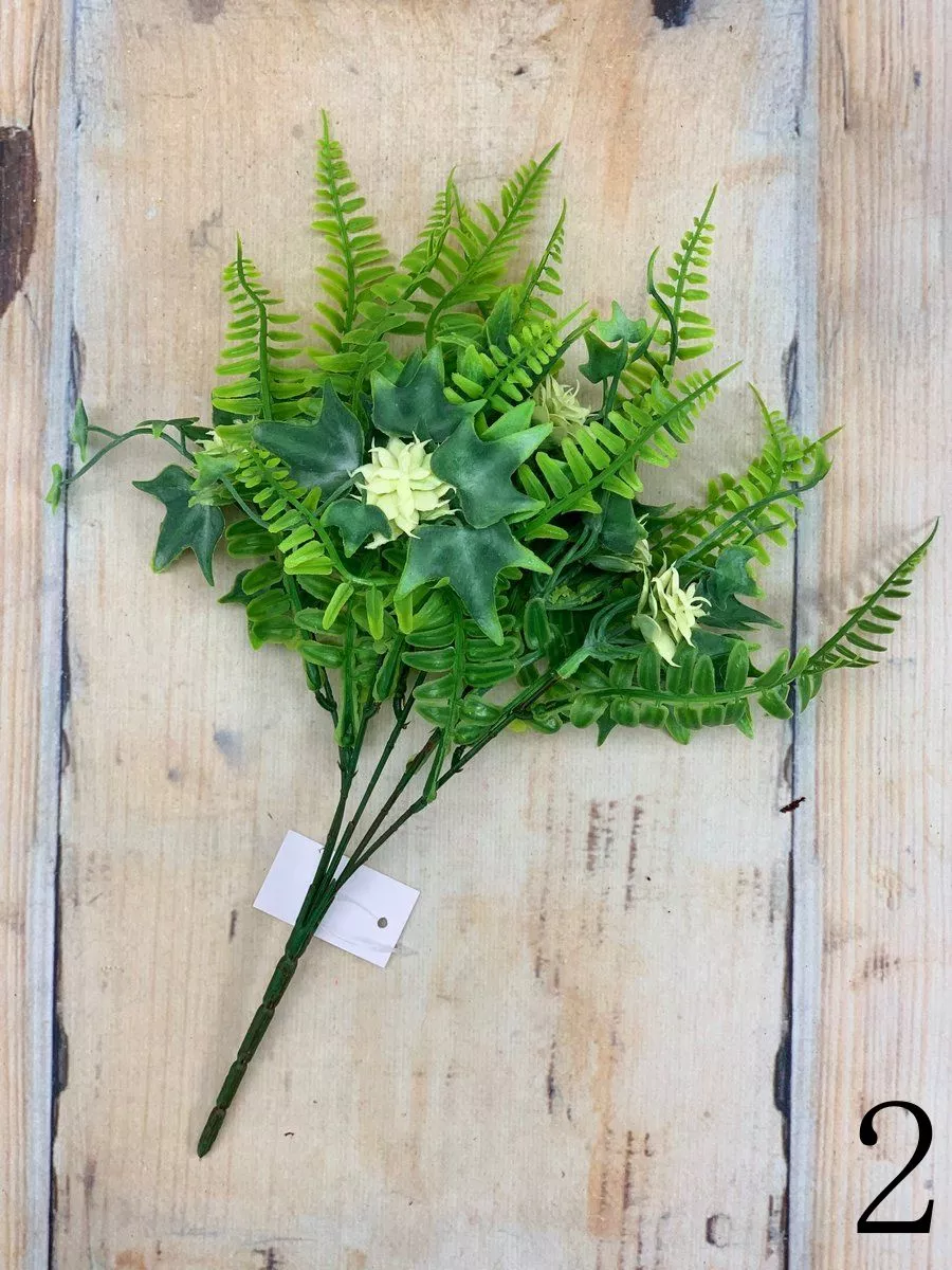 Папоротник ERA1003  Интернет-магазин Feron Flower 