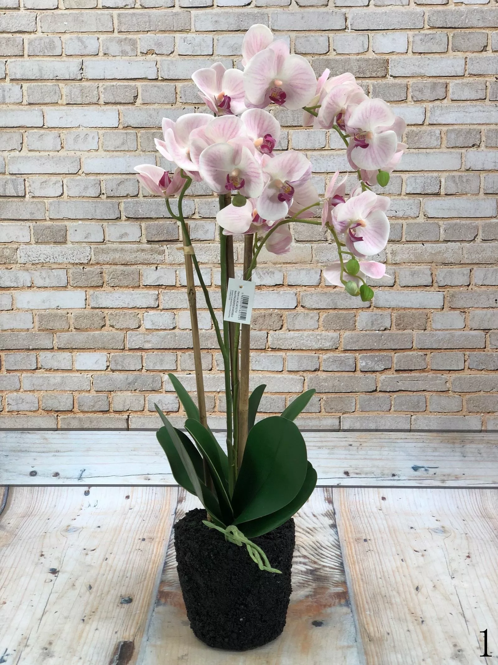 Орхидея в горшке KLM1073  Интернет-магазин Feron Flower 