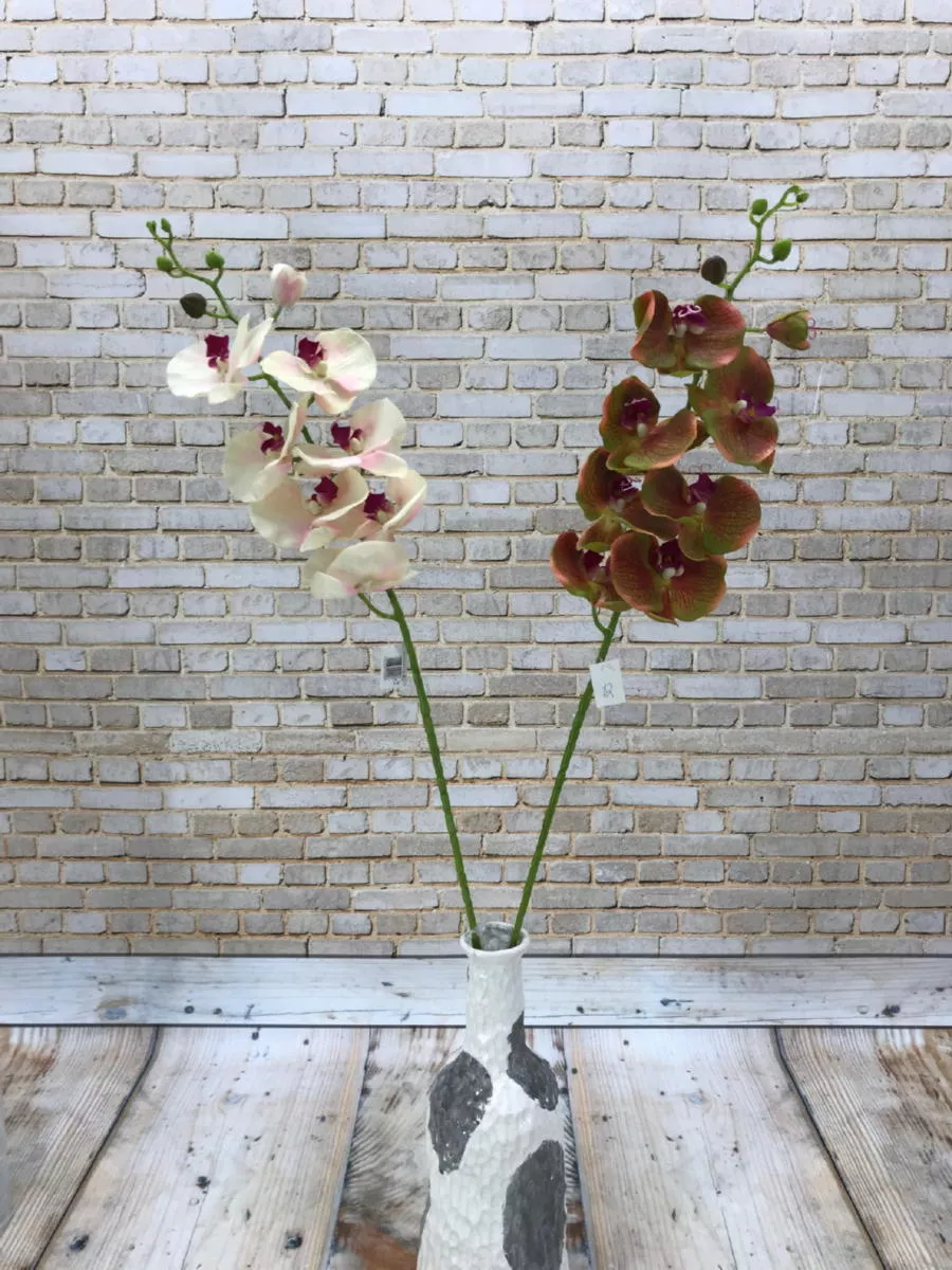 Орхидея латекс ZL010  Интернет-магазин Feron Flower 