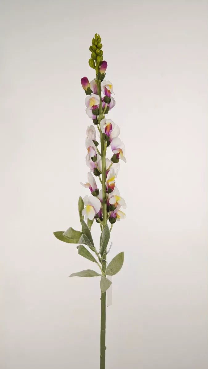 Львинный зев REN-237 розовый   Интернет-магазин Feron Flower 