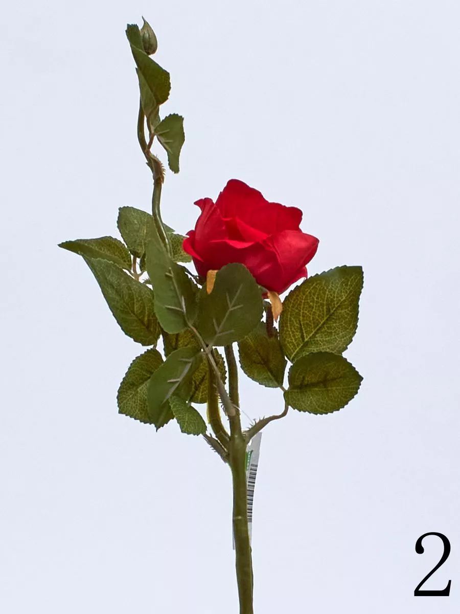 Роза 131578  Интернет-магазин Feron Flower 