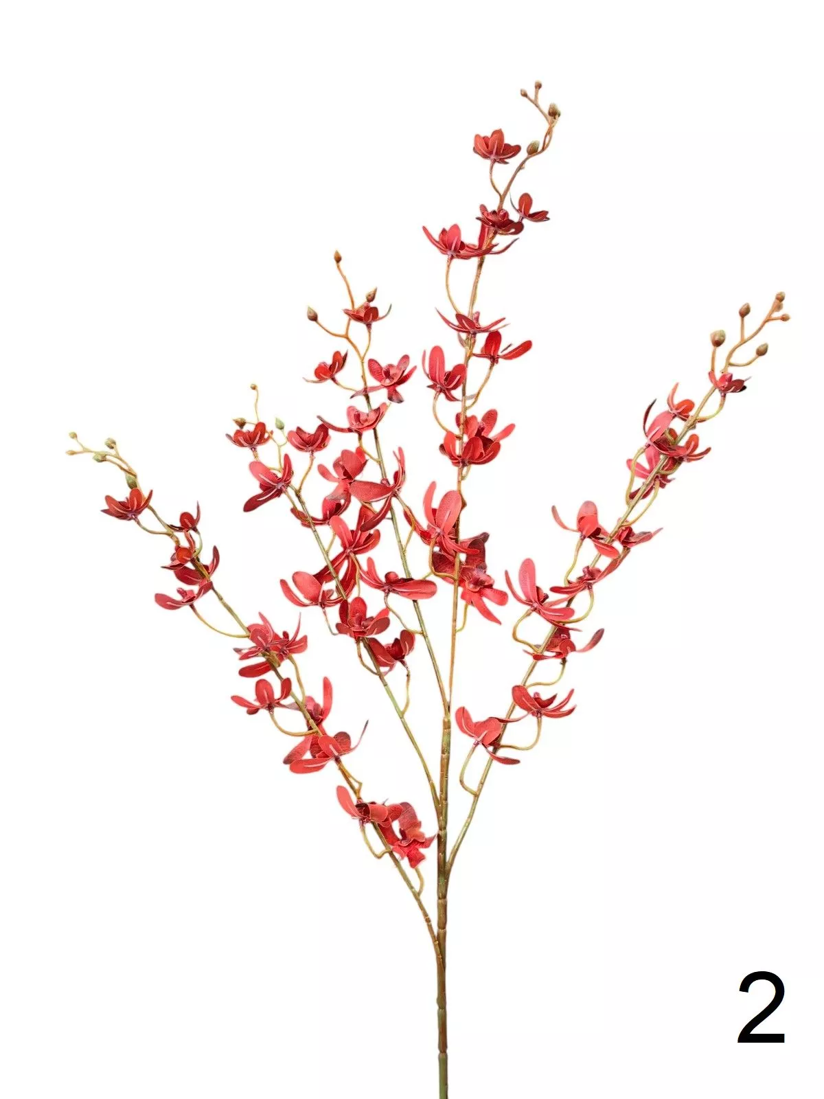 Орхидея  9144-1340  Интернет-магазин Feron Flower 