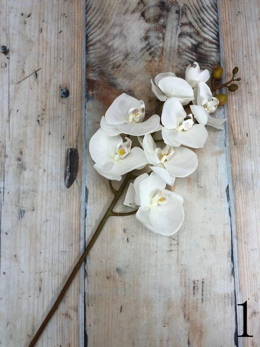 Орхидея JX012  Интернет-магазин Feron Flower 