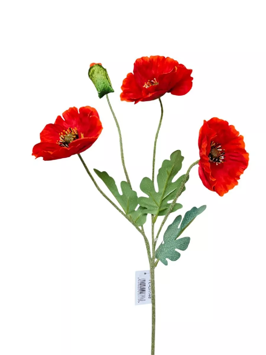 Мак FL-QH148  Интернет-магазин Feron Flower 