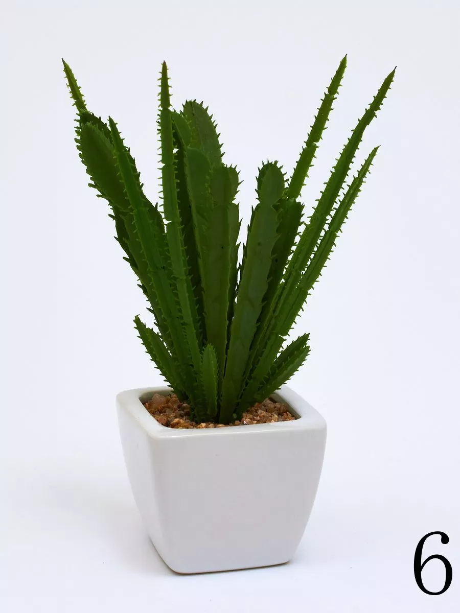 Суккулент ART17769  Интернет-магазин Feron Flower 