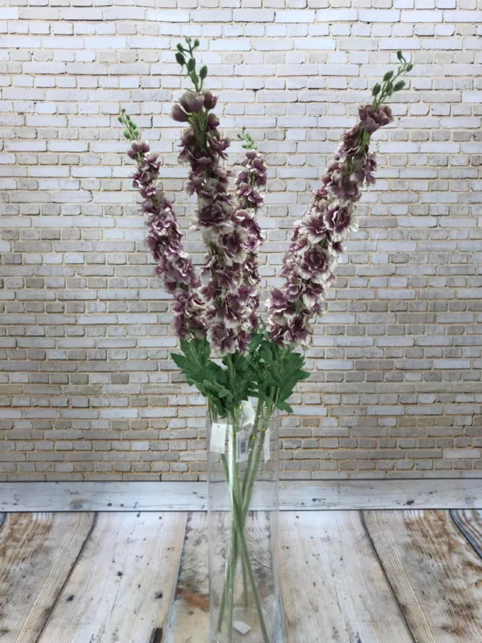 Дельфиниум K7L0588  Интернет-магазин Feron Flower 