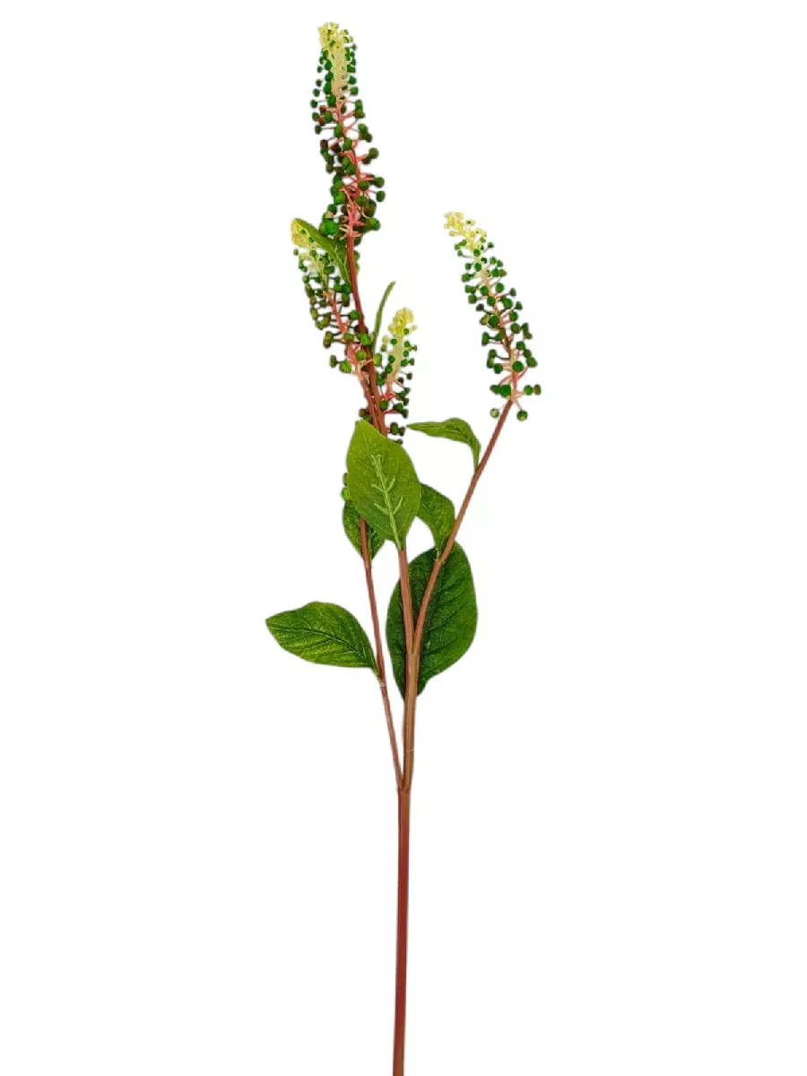 Лаконос 9144-20  Интернет-магазин Feron Flower 