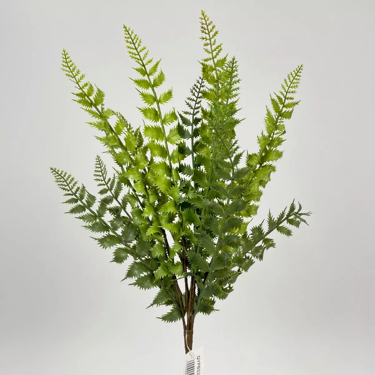 букет зелени QYPBS2344-14  Интернет-магазин Feron Flower 