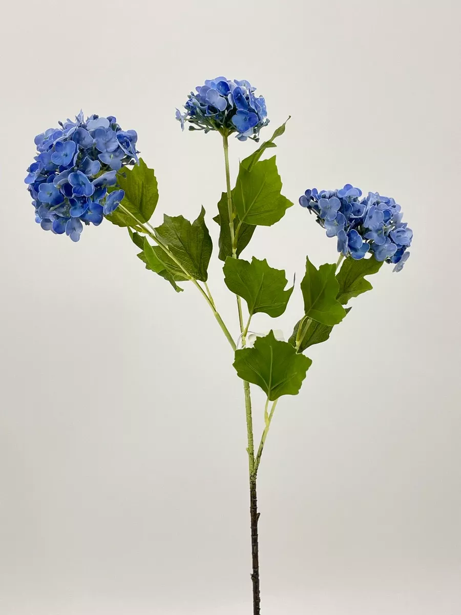 Вибурнум REN-216 голубой  Интернет-магазин Feron Flower 