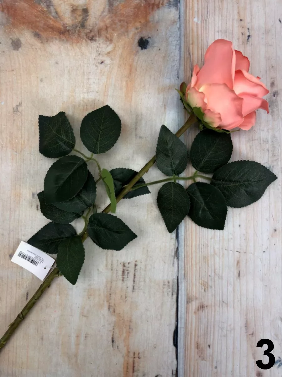 Роза TX001  Интернет-магазин Feron Flower 