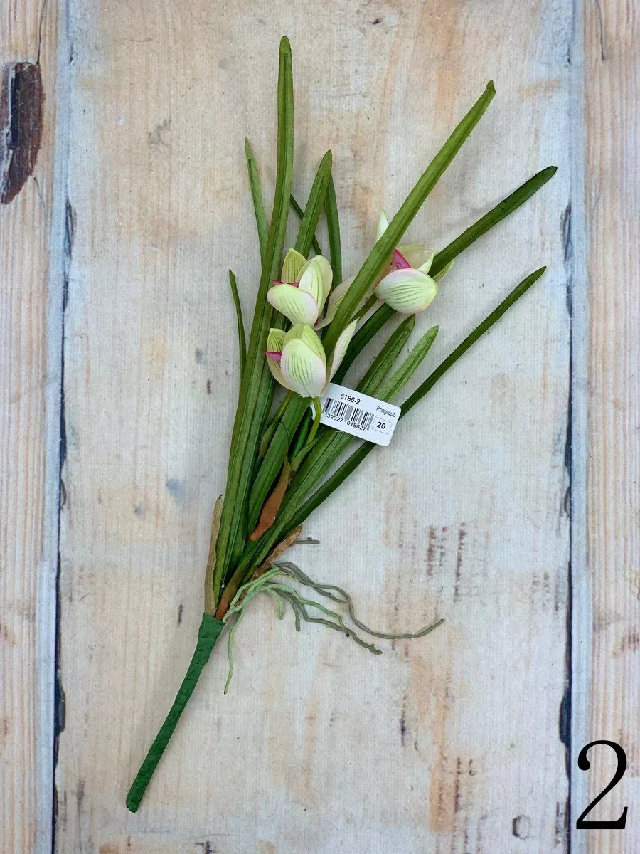 Орхидея 6186  Интернет-магазин Feron Flower 