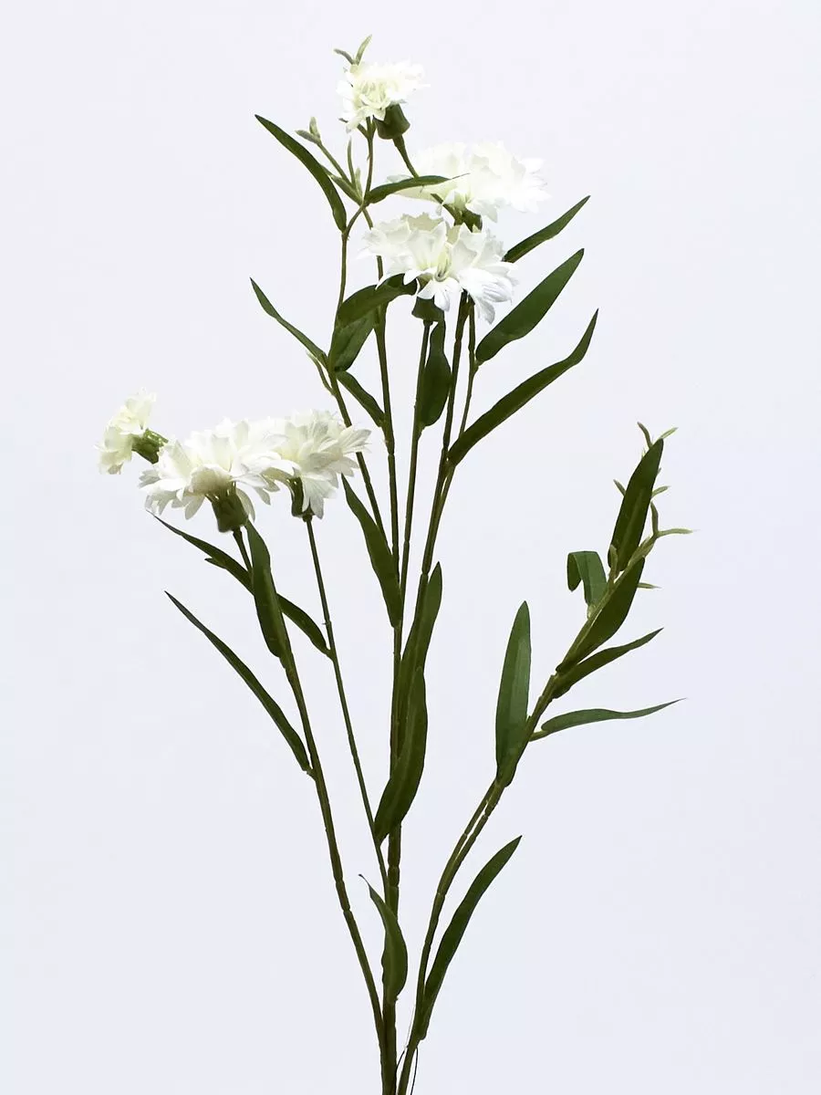 Василек SUN676  Интернет-магазин Feron Flower 