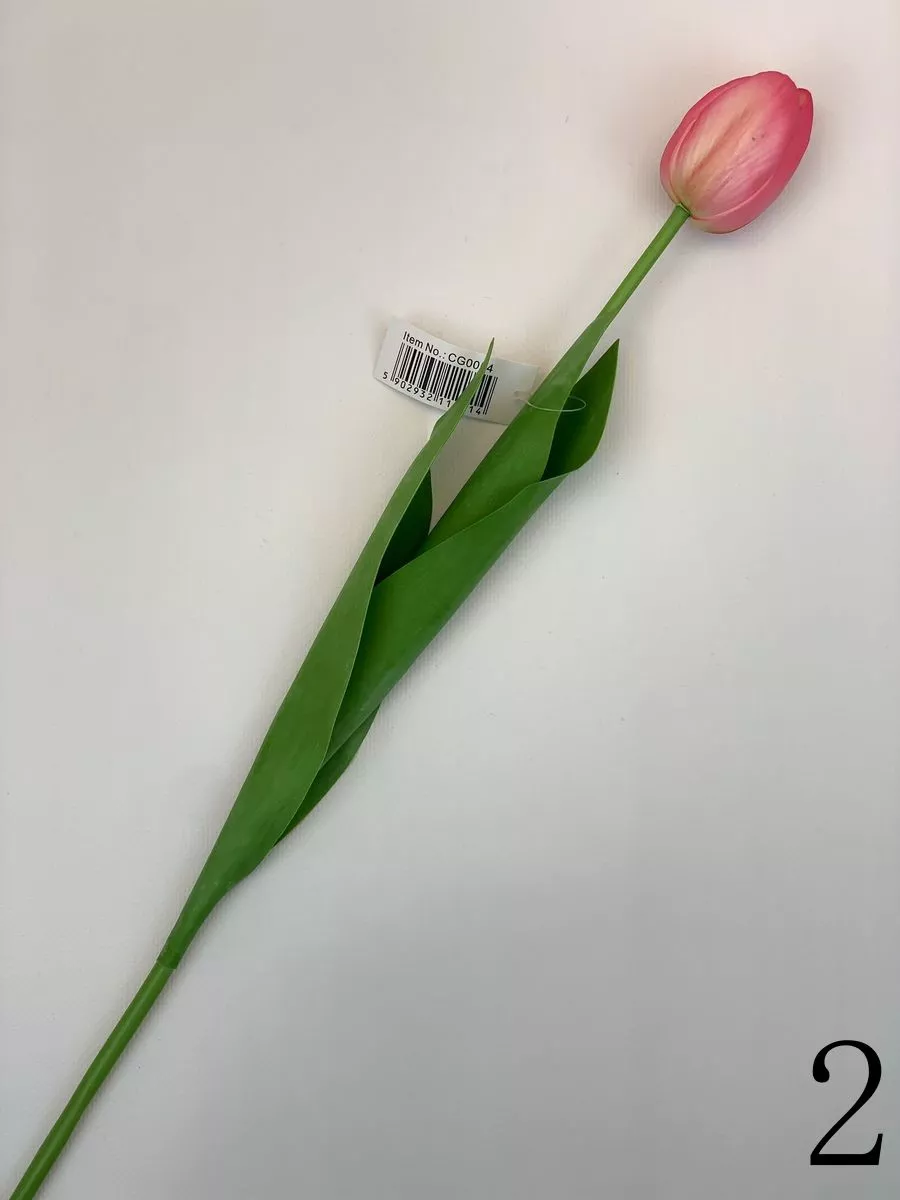 Тюльпан CG0054  Интернет-магазин Feron Flower 