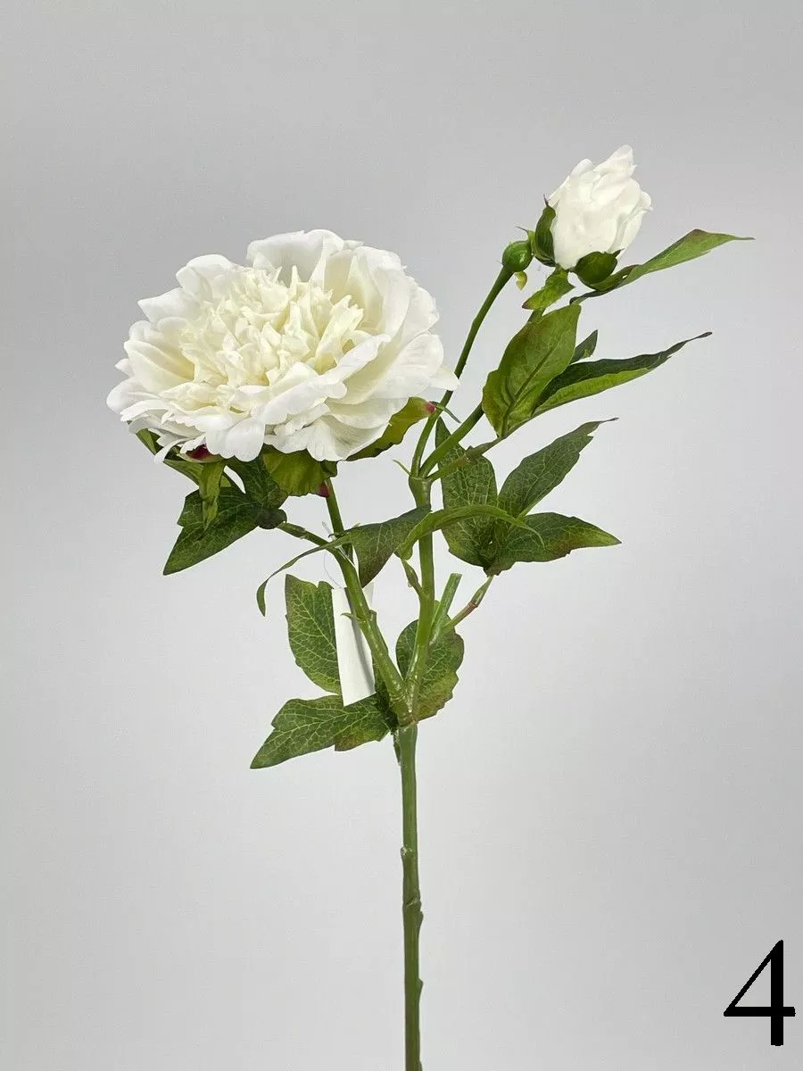 Пион PIO-111  Интернет-магазин Feron Flower 
