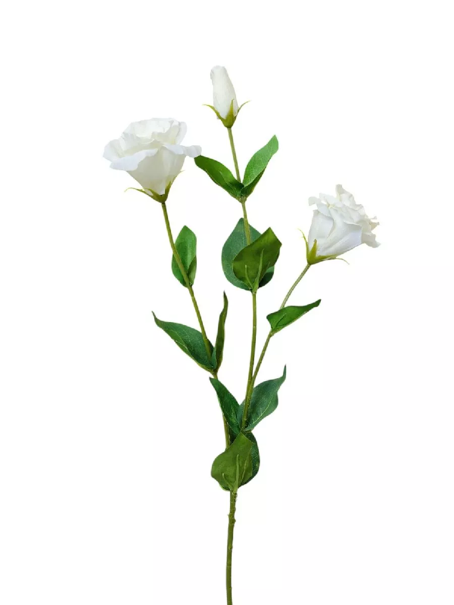 Лизиантус 9144-1398  Интернет-магазин Feron Flower 