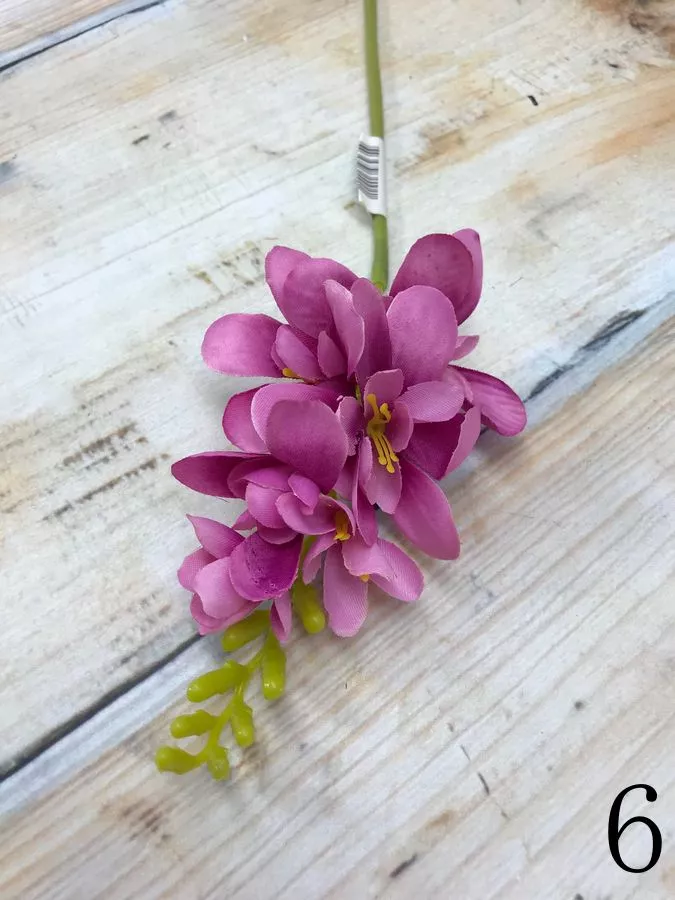 Фрезия JM014  Интернет-магазин Feron Flower 