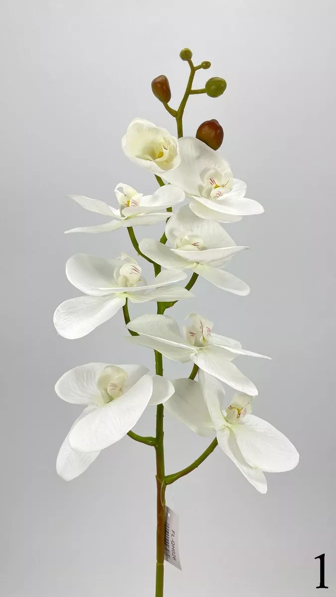 Орхидея FL-QH026  Интернет-магазин Feron Flower 