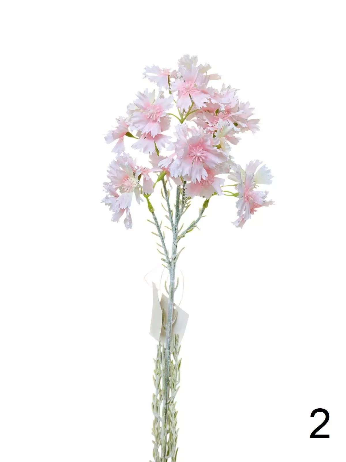 Гвоздика K04078  Интернет-магазин Feron Flower 