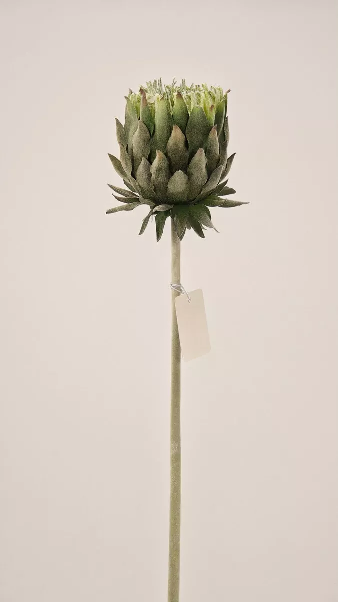 Артишок REN-222 зеленый  Интернет-магазин Feron Flower 