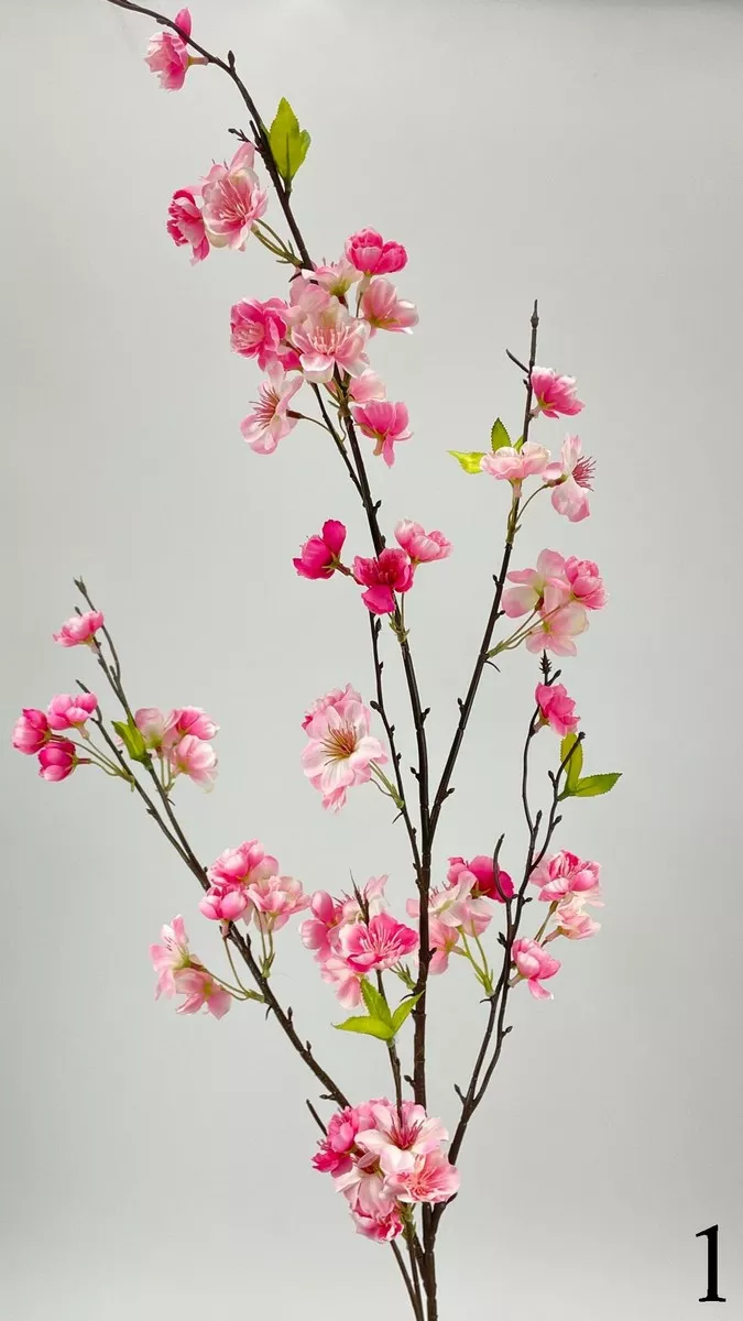 Яблонь FL-QH011  Интернет-магазин Feron Flower 