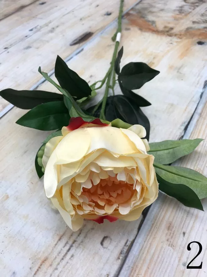 Пион K476  Интернет-магазин Feron Flower 