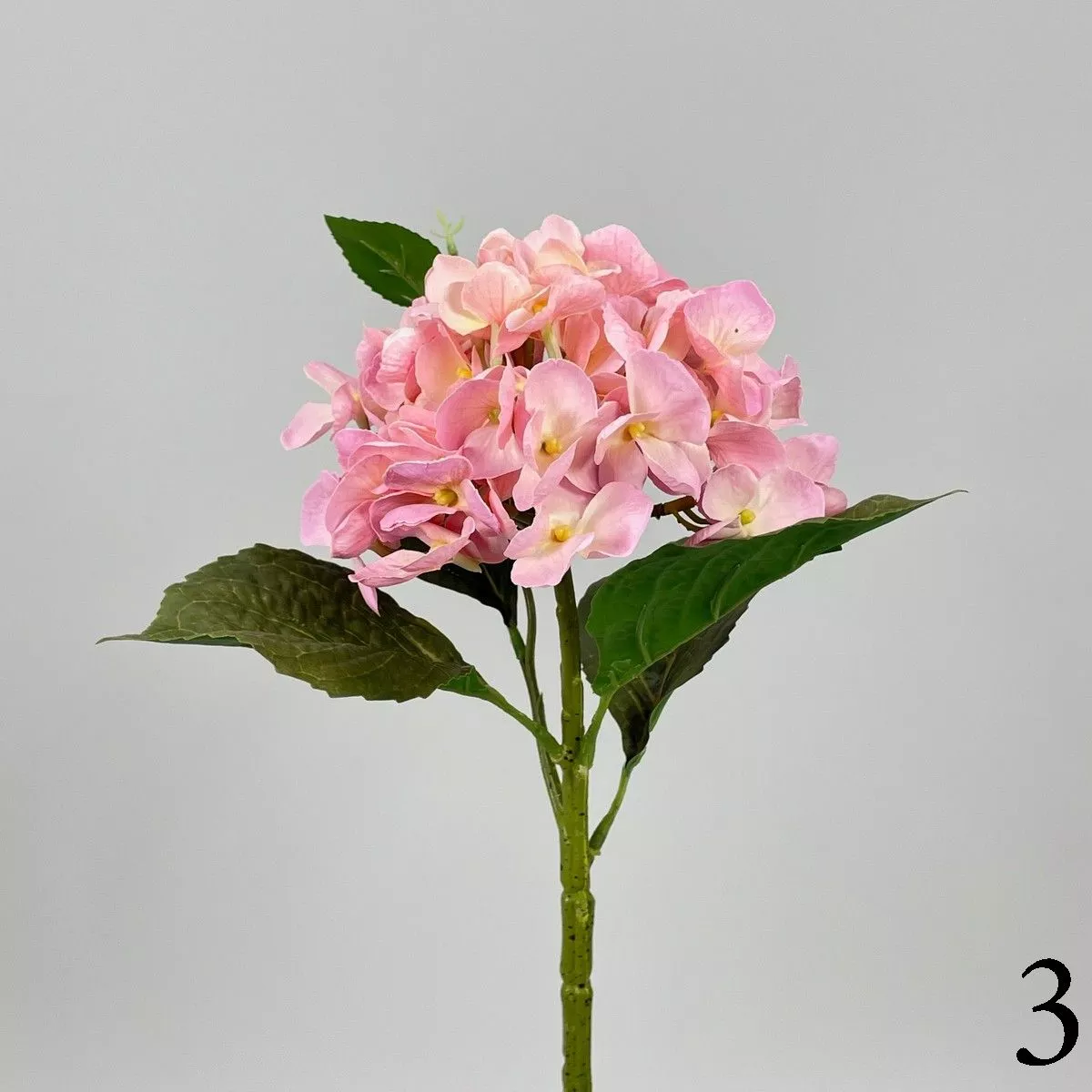 Гортензия MST015  Интернет-магазин Feron Flower 