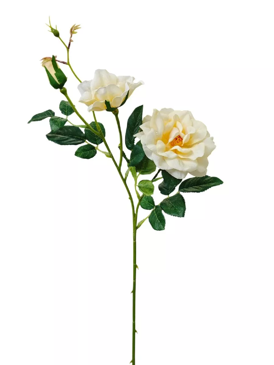 Роза 9144-1341  Интернет-магазин Feron Flower 