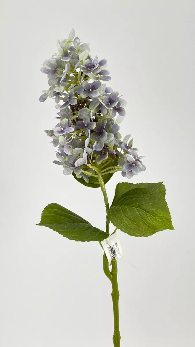 Гортензия MST027  Интернет-магазин Feron Flower 