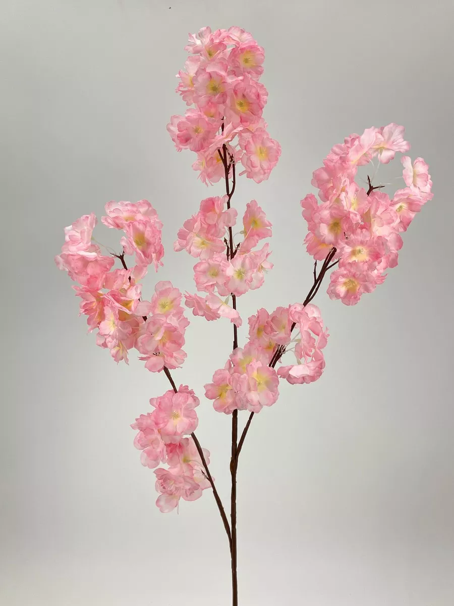 Яблонь FL-QH086  Интернет-магазин Feron Flower 