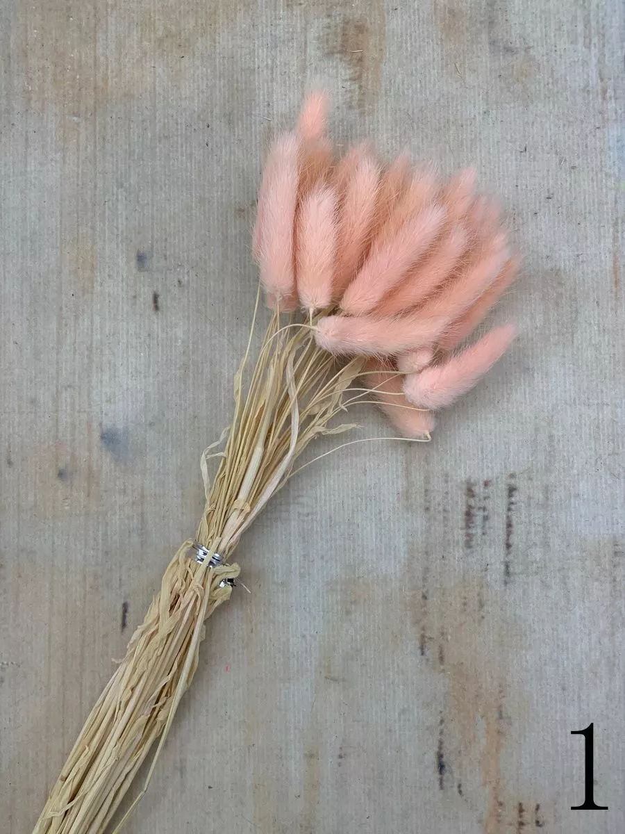 Лагурус 30 веток MIX  Интернет-магазин Feron Flower 