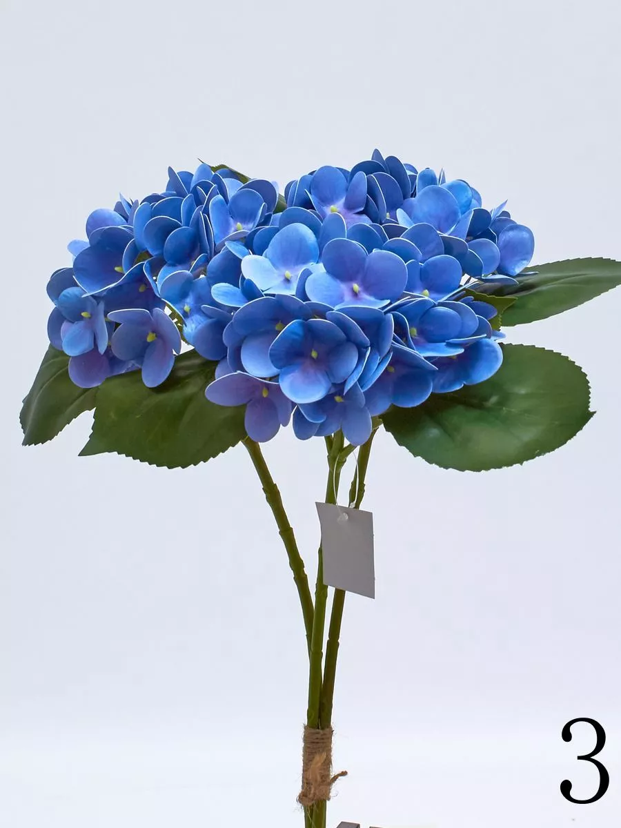 Гортензия K03980  Интернет-магазин Feron Flower 