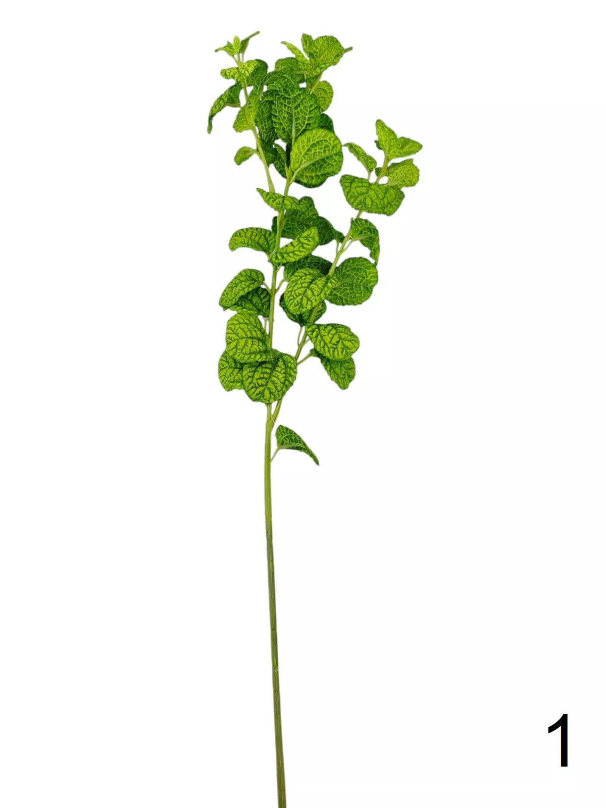 Базилик 9144-2  Интернет-магазин Feron Flower 