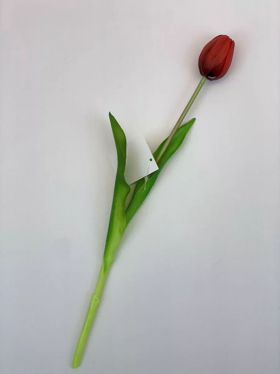 Тюльпан K04031  Интернет-магазин Feron Flower 