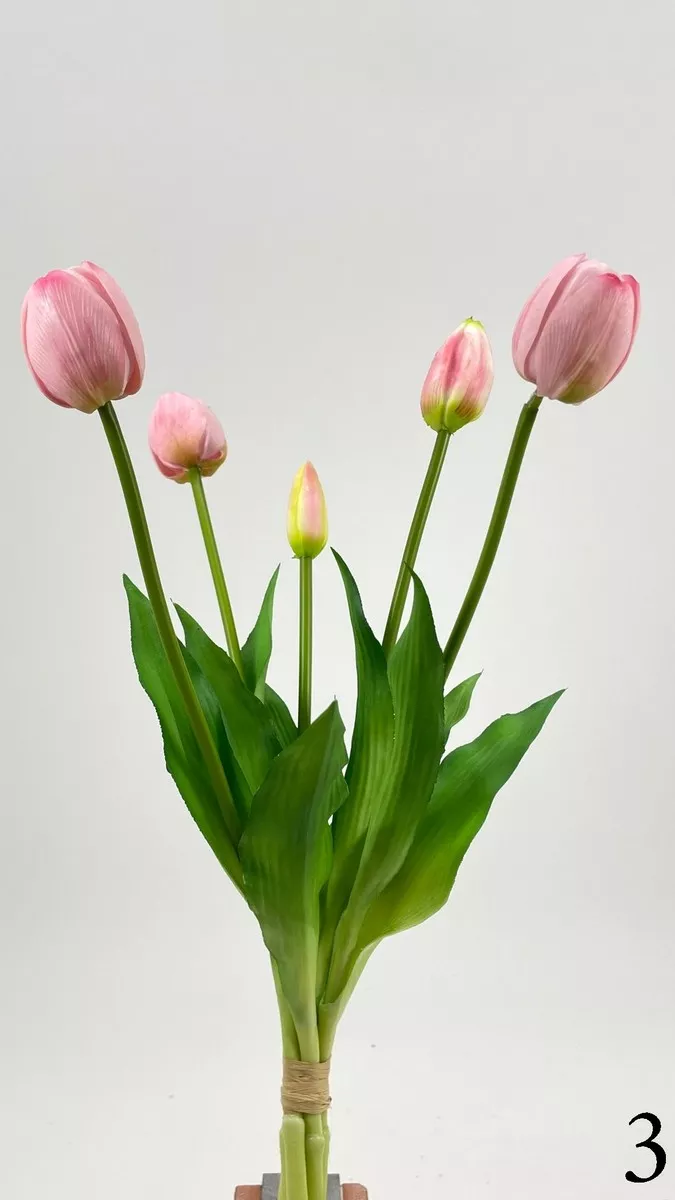 Тюльпан latex FL-QH066  Интернет-магазин Feron Flower 