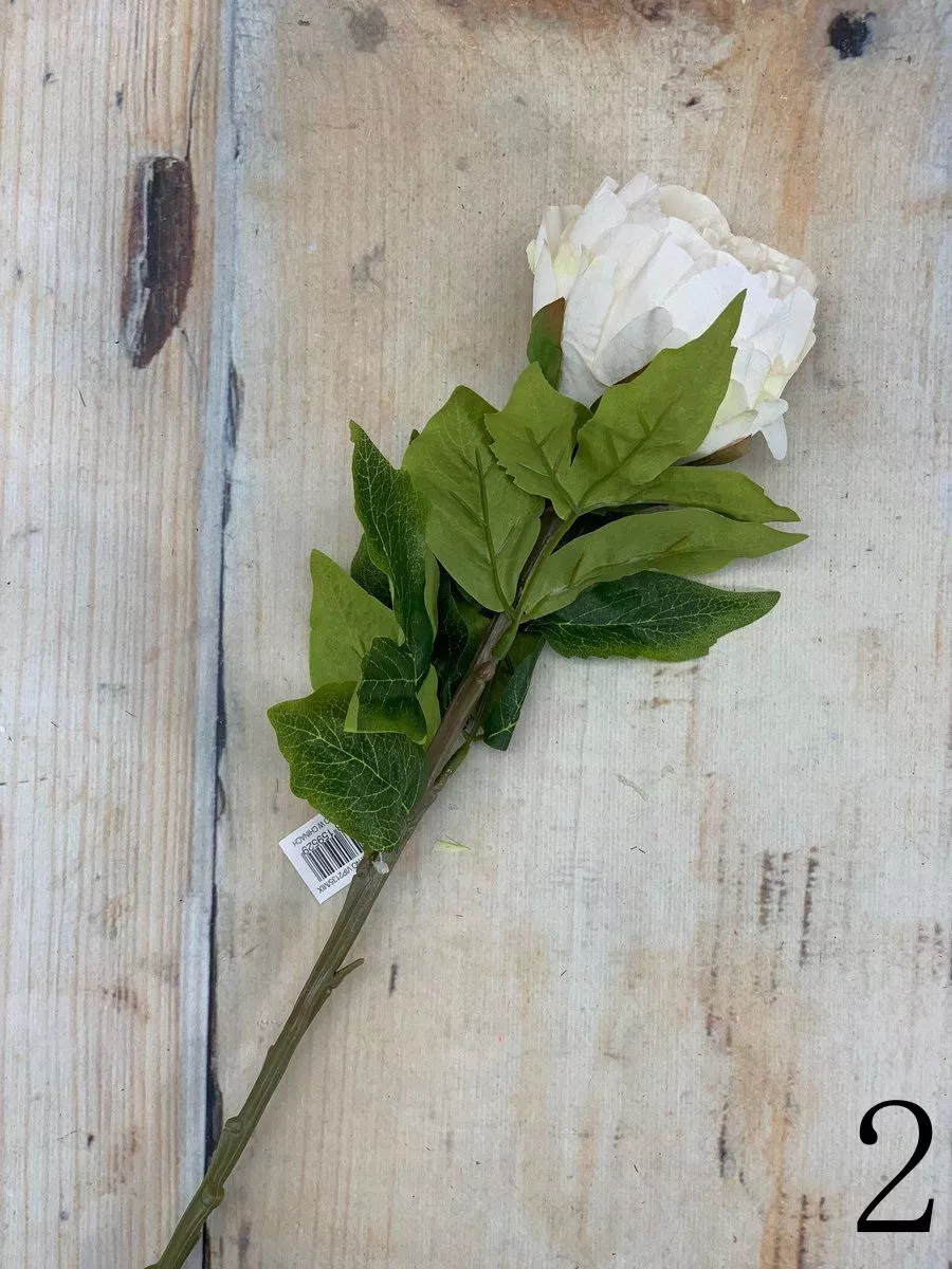 Пион VIP2135  Интернет-магазин Feron Flower 