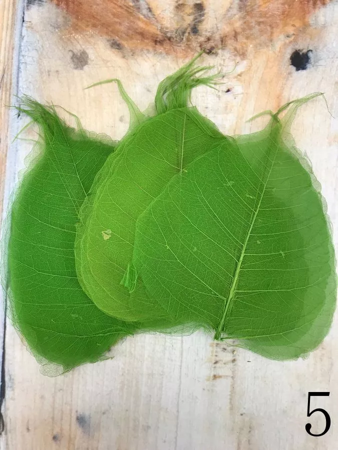 Лист скелет. I380WK  Интернет-магазин Feron Flower 