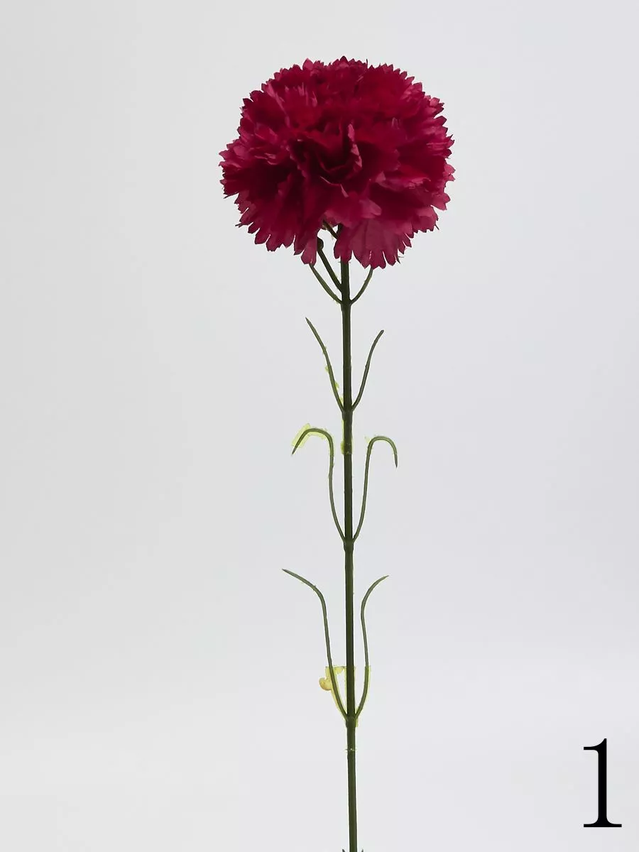 Гвоздика K396  Интернет-магазин Feron Flower 