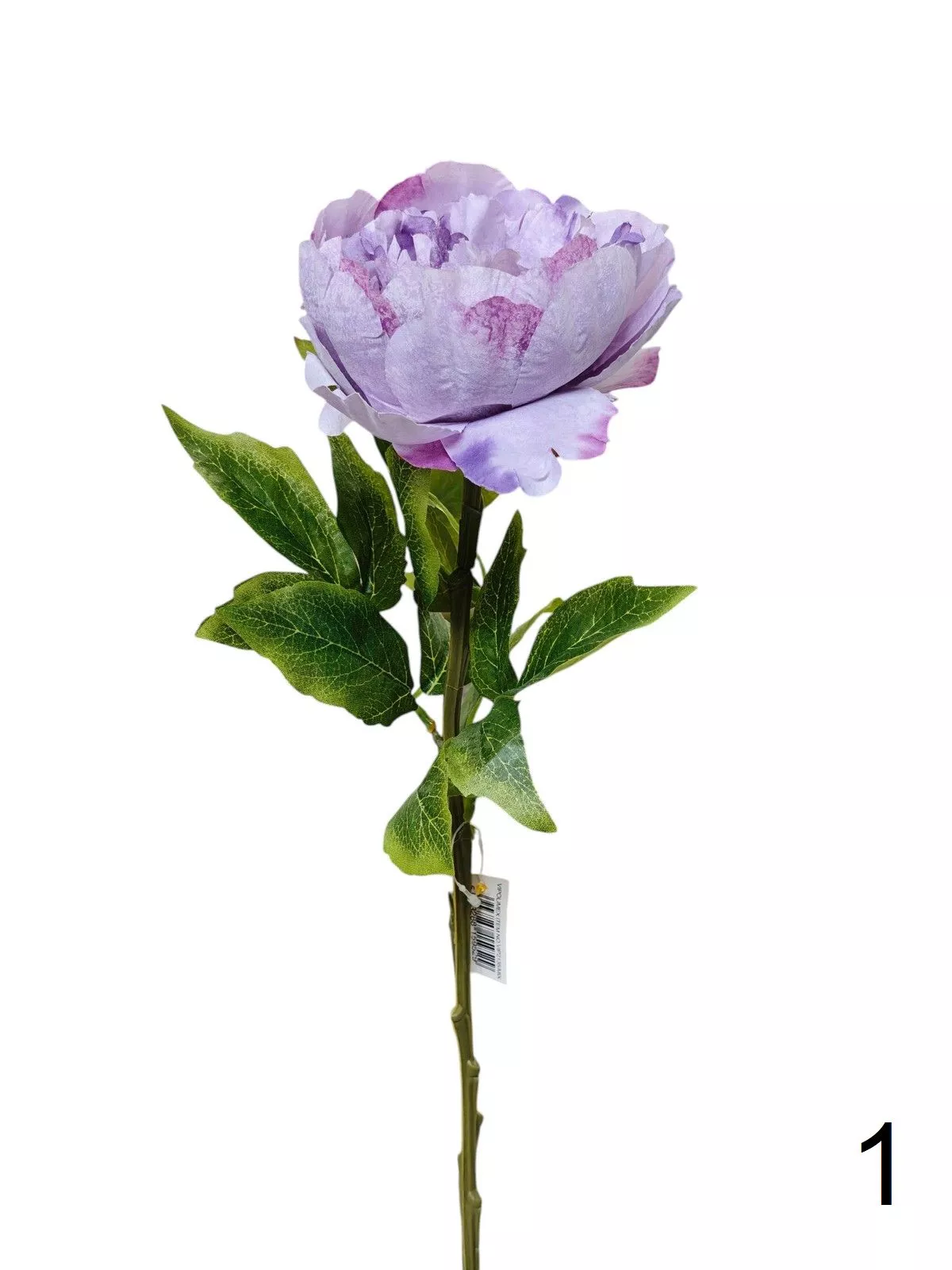 Пион VIP2135  Интернет-магазин Feron Flower 