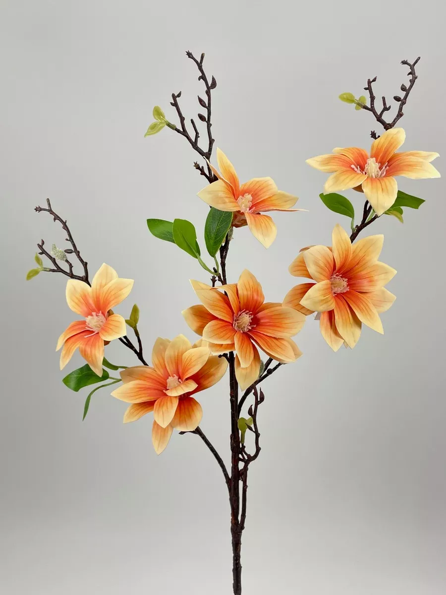 Магнолия FL-QH097  Интернет-магазин Feron Flower 