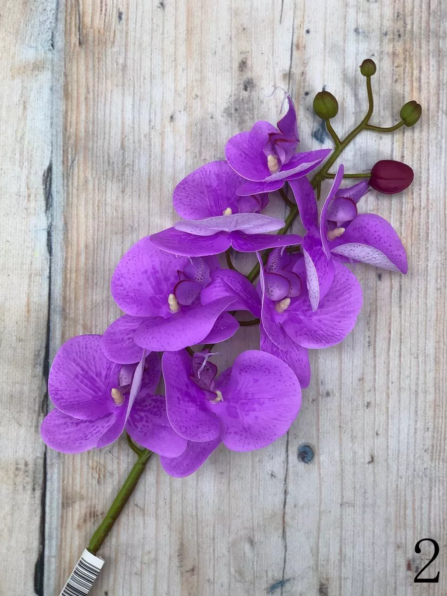 Орхидея GK196  Интернет-магазин Feron Flower 