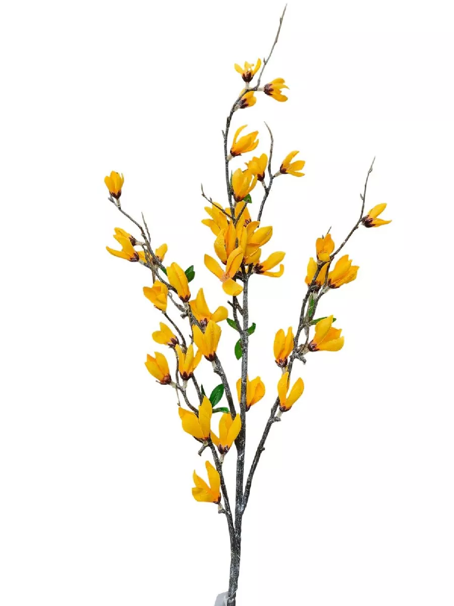 Форзиция FL-QH040  Интернет-магазин Feron Flower 