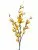 Форзиция FL-QH040  Интернет-магазин Feron Flower 
