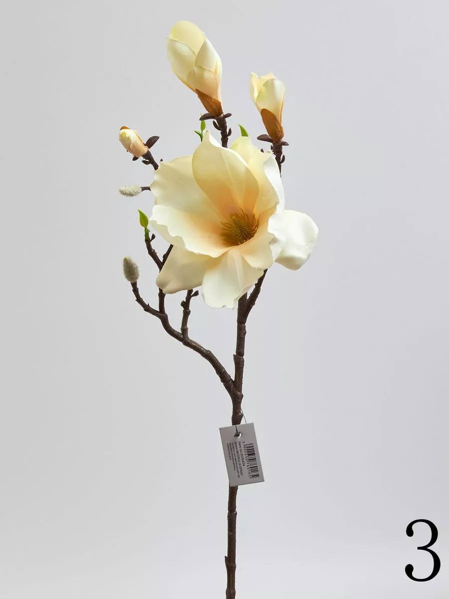 Магнолия SUN404  Интернет-магазин Feron Flower 