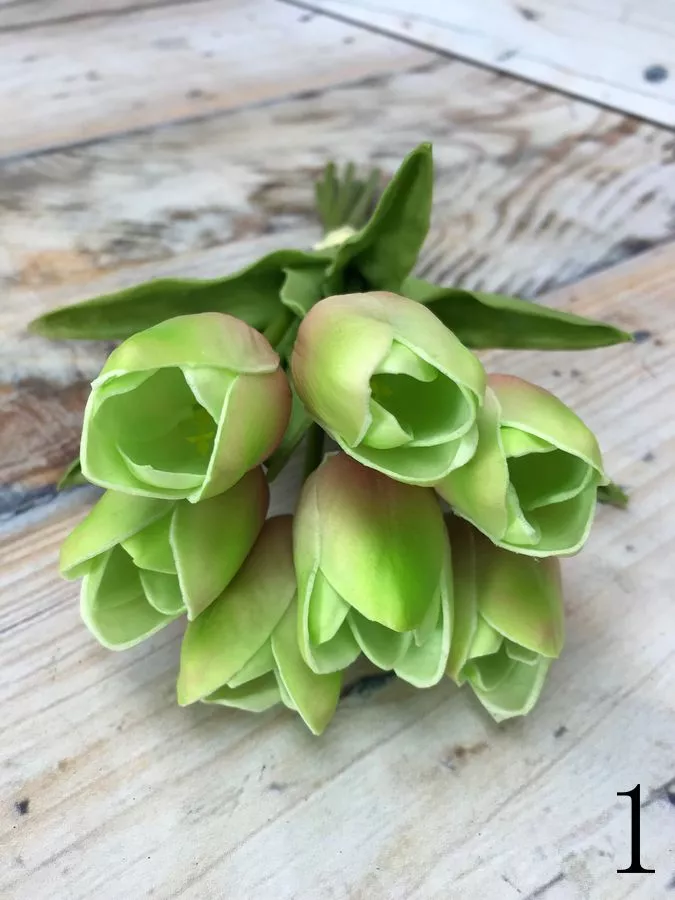 Тюльпан 81CAN056  Интернет-магазин Feron Flower 