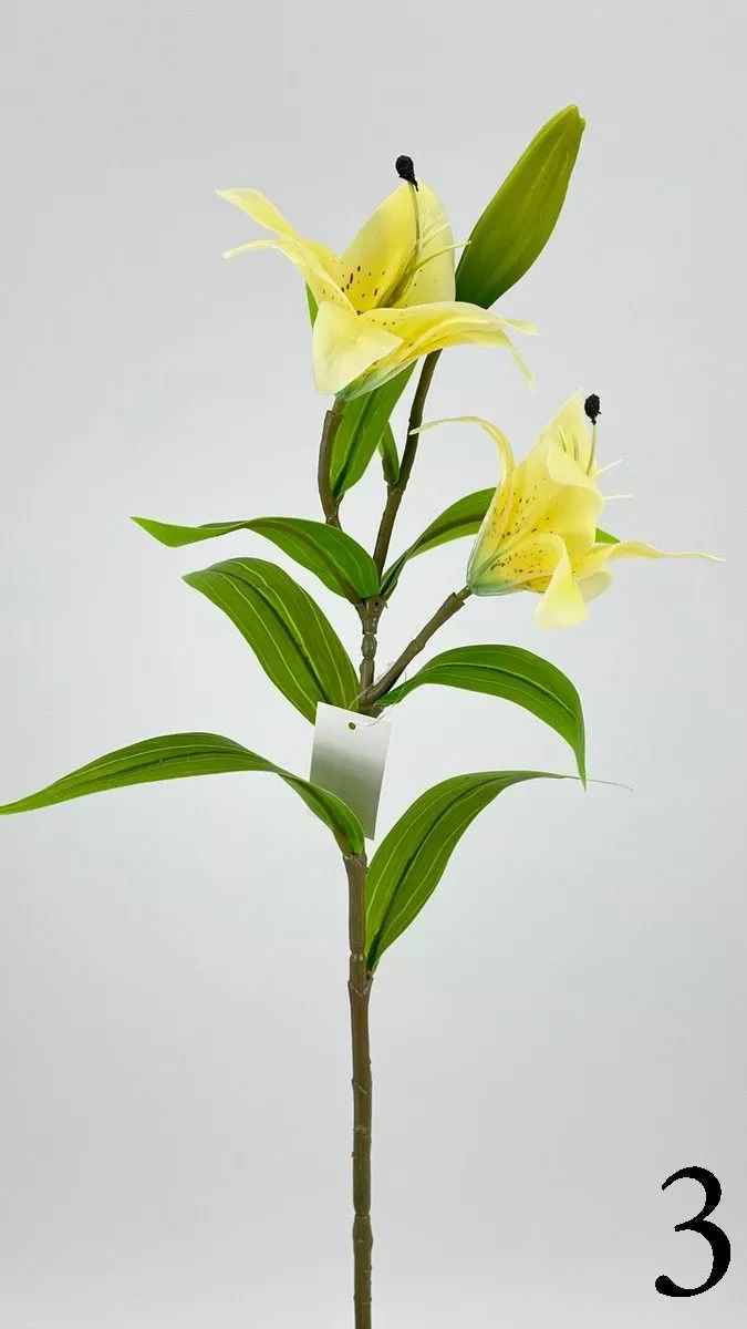 Лилия FL-QH006  Интернет-магазин Feron Flower 